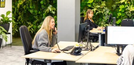 Catogerie afbeelding